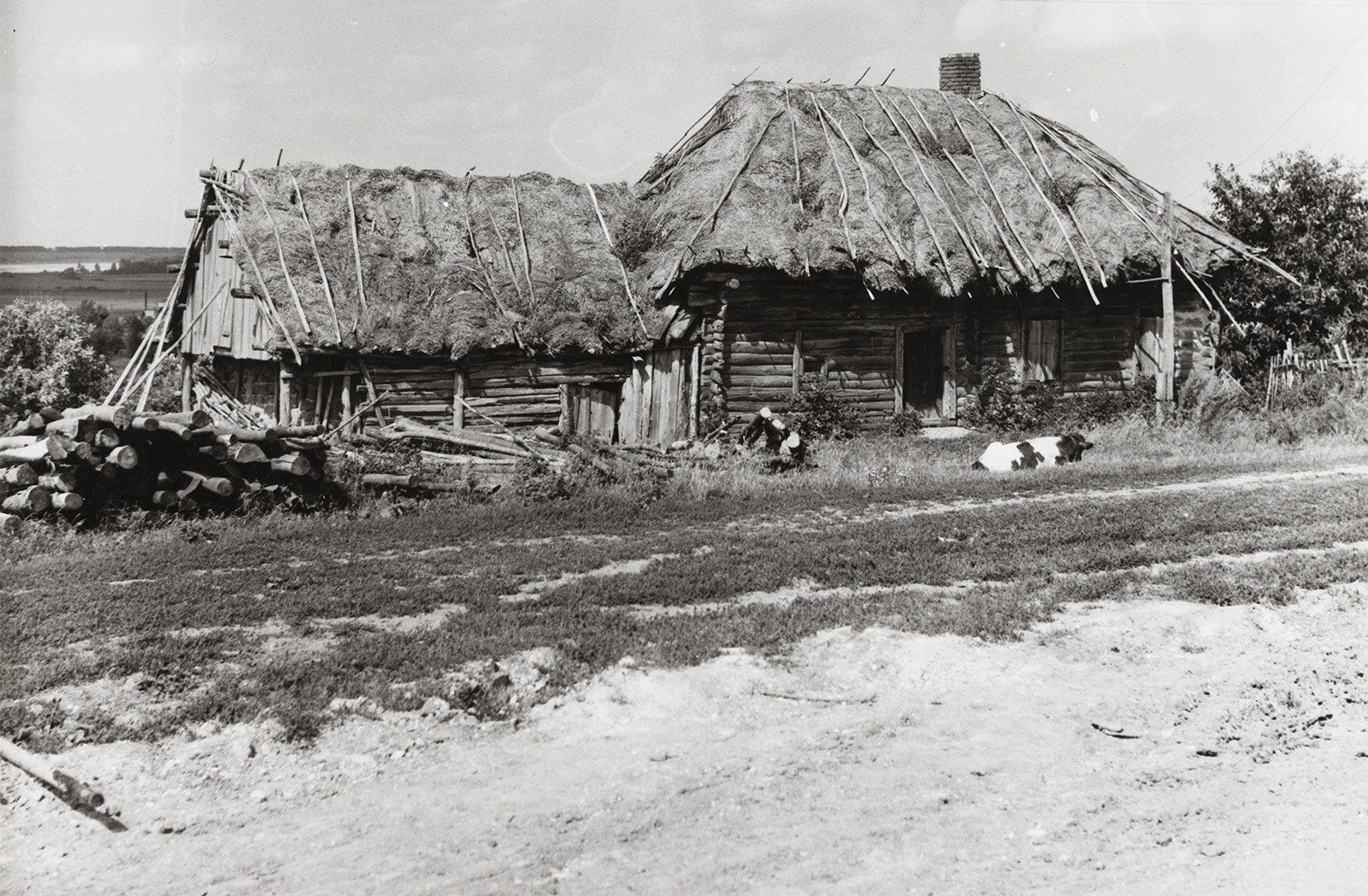 Õlgkatusega vana elamu. Mordva, Tšamzinka rajoon, Bolšoje Maresjevo küla. ERM Fk 2222:35. Foto: Jüri Karm 1987
