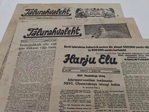 Foto 4. Lehed pärast konserveerimist