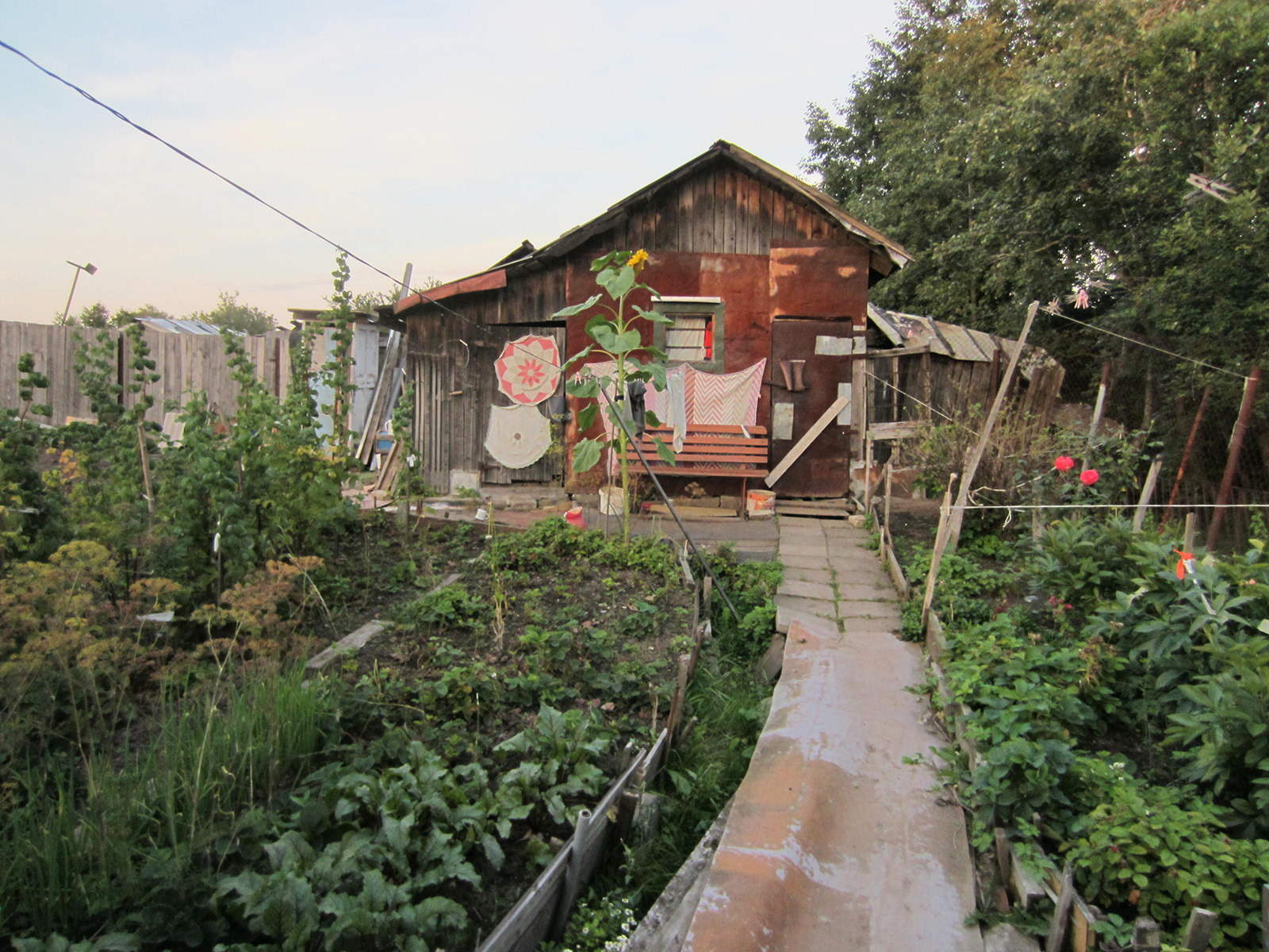 Tartu. Hiinalinna aiamaja. Pildistatud 2013 Canon IXUS 220HS. ERM Fk 3110:2247 