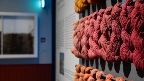 Mädandatud paakspuukoortest saab palju punakaid toone. Foto: Berta Jänes