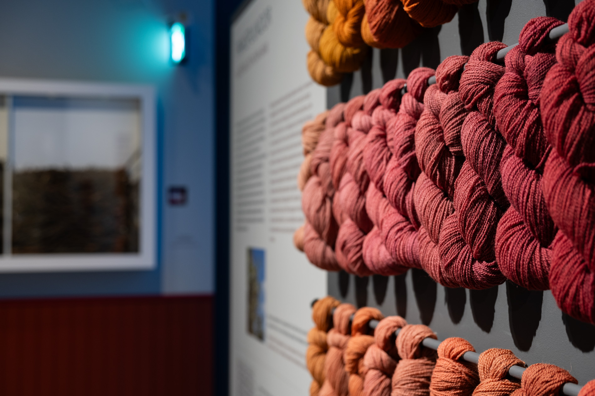 Mädandatud paakspuukoortest saab palju punakaid toone. Foto: Berta Jänes