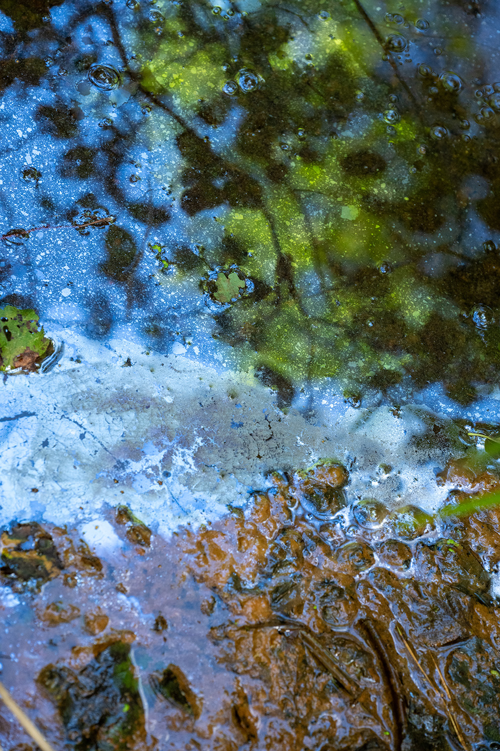 Sädelev, kergelt tükiline kiht veepinnal ja roostepunane värvus viitavad rauarikka muda asukohale. Luutsna jõkke suubuv kraav Tartu lähistel. Foto Berta Jänes