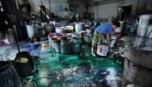 Värvimisvabrik Shaoxing’is, Binhai tööstuspiirkonnas Hiinas. Foto: Lu Guang / Greenpeace 2012